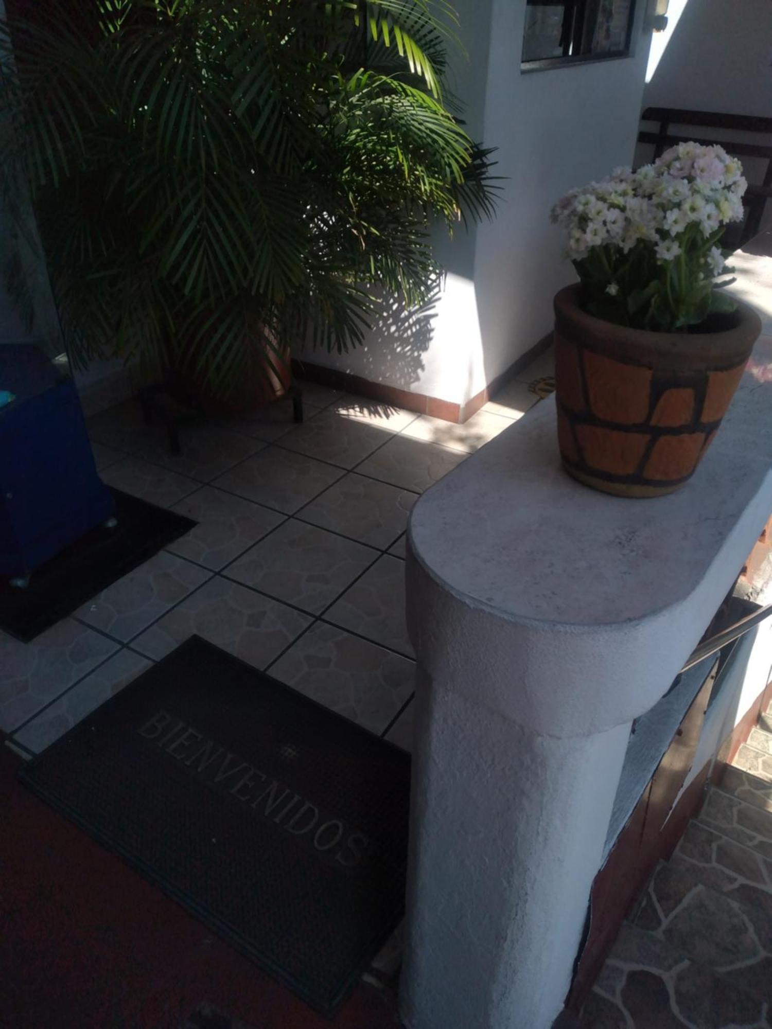 Hotel Las Palomas タスコ・デ・アラルコン エクステリア 写真